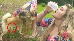 [뉴스pick] 여드름 치료된다며 반려견 소변 마시는 여성