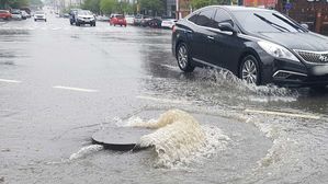 가로수 넘어지고 항공기 운항 차질&hellip;전국 강풍&middot;폭우로 피해