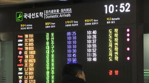 가로수 넘어지고 항공기 운항 차질&hellip;전국 강풍&middot;폭우로 피해