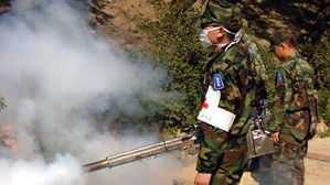 말라리아 환자 이달 들어 급증&hellip;야외활동 때 주의해야