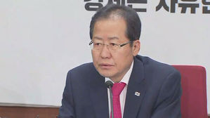 홍준표 전 대표, 출국 전 MB 접견