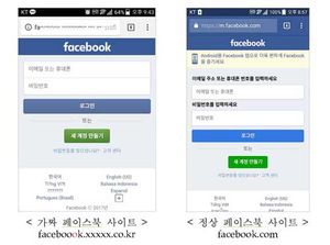 광고 의뢰에 속아 로그인한 페이스북 주소&hellip;'가짜 주의보'