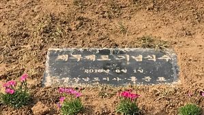 경남도, 땅에 묻힌 '홍준표 채무 제로 표지석' 원상 복구