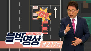 [비디오머그 블박영상] 피할 수 있었다고?…제217화 녹색불에서 멈춘 차량과 충돌