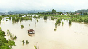 태풍 쁘라삐룬에 농작물 8천500㏊ 침수&hellip;전북&middot;벼 피해 커