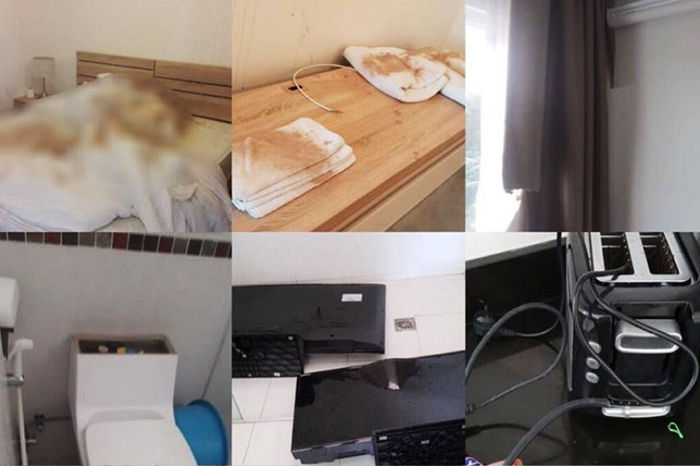 '한국인 커플이 내 아파트에 김치 테러