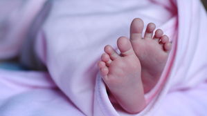 [뉴스pick] 보모 집 냉장고 안에서 발견된 5개월 아들의 주검