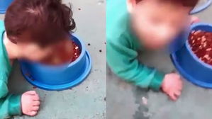 [뉴스pick] "점심 먹고 있니?"…개 사료 먹는 학습장애 아들 방치한 엄마 '논란'