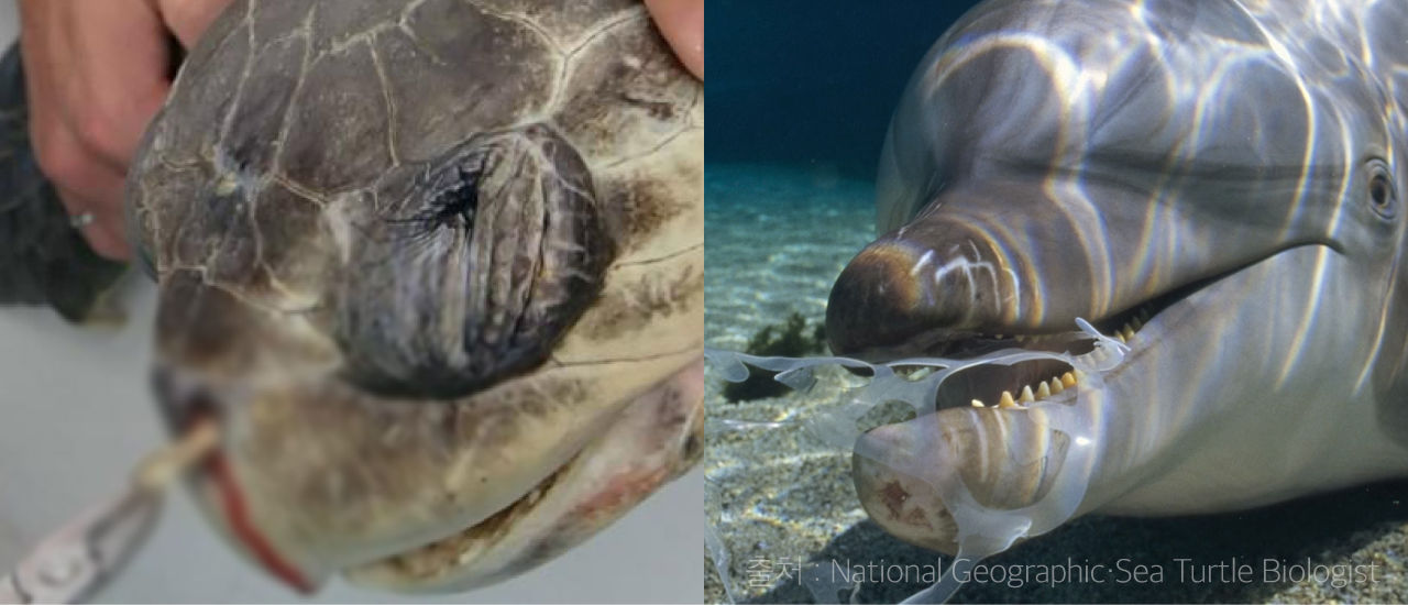 [리포트+] 2020년까지 스타벅스 빨대 없앤다...플라스틱과의 전쟁, 우리나라는 어디쯤 왔나?