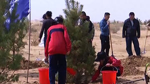 [월드리포트] 나무 심어서 황사 줄이려다&hellip;"여기가 아닌데"