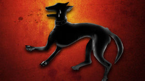 기르던 개 목줄로 죽인 70대 견주 입건