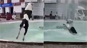 [영상pick] 분수대로 '풍덩'&hellip;더위 좀 식혀본 강아지의 폭풍 다이빙