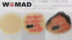 워마드, 성체 훼손 논란&hellip;도 넘은 '남성 혐오 표현' 비판