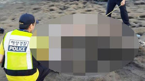 고래 사체 조사하는 해경 (사진=연합뉴스/서귀포해양경찰서 제공)