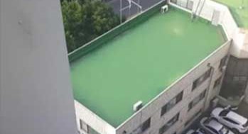 박진성 시인 "저 진짜 갑니다"&hellip;경찰 "안전하게 찾았다"