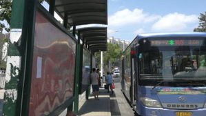 [뉴스pick] 어느 날 거리에 세워진 수십 개의 '가짜 버스정류장'