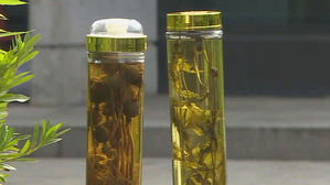 [강원] 술병 안 양귀비 가득…'마약 술' 불법 유통 현장 포착