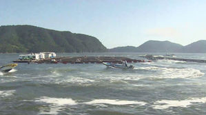 전남 고흥&sim;경남 남해 해역, 올해 첫 적조 주의보