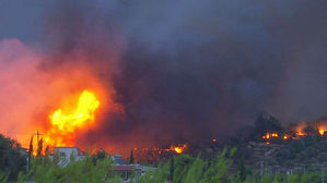 절벽에 갇혀 아이 껴안은 엄마들…산불 참사에 그리스인 '눈물'