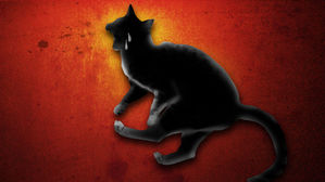 부산 아파트서 길고양이 6마리 죽은 채 발견&hellip;경찰 수사