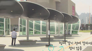 [모닝 스브스] '대프리카' 폭염이 만든 최첨단 기술&hellip;어마어마하네!