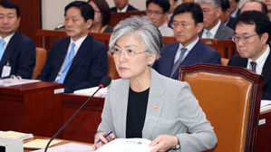 강경화 "가급적 조기 '종전선언' 되도록 관련국과 협의 중"