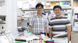 소뇌발달 막는 '섬모병증' 치료제 후보 발굴