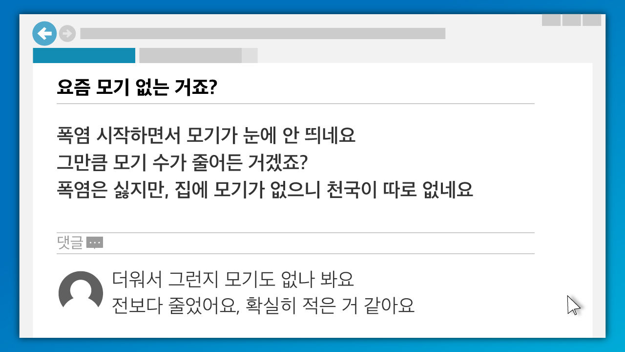 [리포트+] 푹푹 찌는 더위에 자취 감춘 모기…'가을·겨울 불청객'으로 돌아올까?