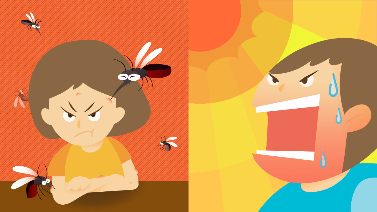 [리포트+] 푹푹 찌는 더위에 자취 감춘 모기…'가을·겨울 불청객'으로 돌아올까?