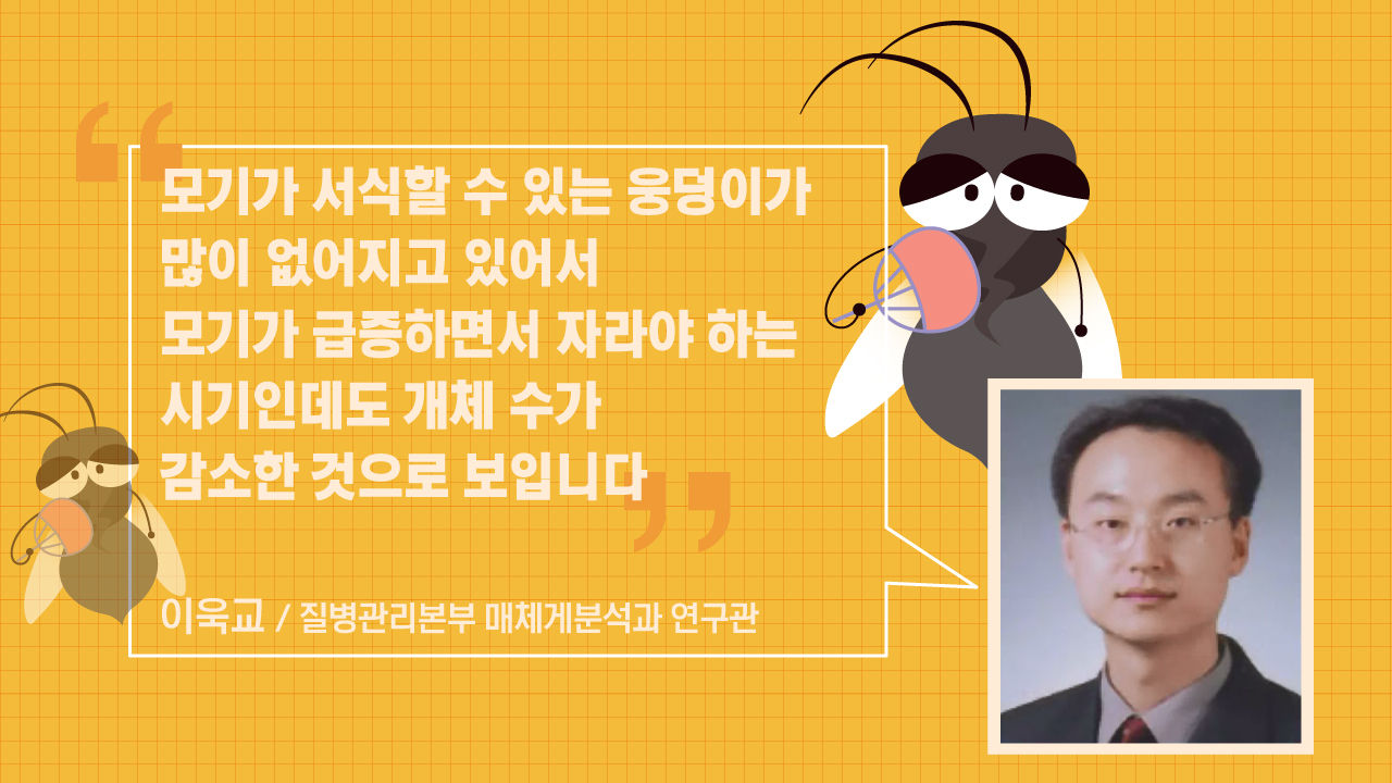 [리포트+] 푹푹 찌는 더위에 자취 감춘 모기…'가을·겨울 불청객'으로 돌아올까?