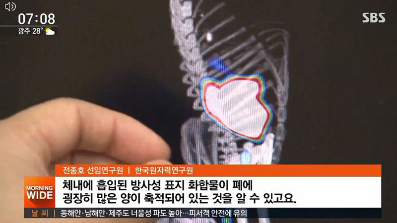 [취재파일] '라돈 침대' 인체 위해성 입증 길 열렸다/폐