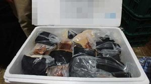 고래고기를 상어고기로 속여 3억 원 상당 일본서 밀반입