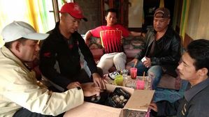 '고양이에게 생선'&hellip;인니 환경단체 활동가, 거북알 빼돌려 판매