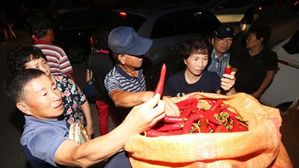 폭염으로 생산량 감소 우려&hellip;괴산 홍고추 가격 88% 급등