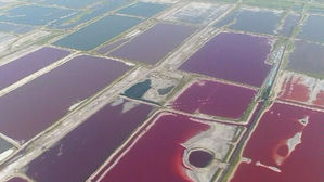 폭염에 형형색색&hellip;무지갯빛으로 물든 중국 1천 년의 호수