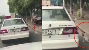 [뉴스pick] 경찰차에 묶여 달리는 강아지&hellip;분노 부른 변명