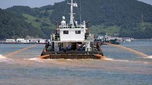 경남에서 3년 만에 적조피해&hellip;통영서 어류 2만5천여 마리 폐사