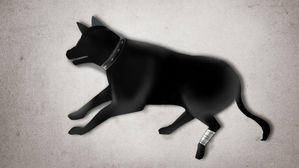 하남서 식용견에 음식물 쓰레기 먹여 학대한 견주들 덜미