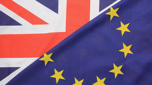 브렉시트로 프랑스 국적 신청 영국인 8배 급증