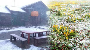 [뉴스pick] '8월의 크리스마스?'…한여름에 '첫눈' 내린 일본 홋카이도