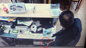 전국 식당 돌며 1년간 5천만 원 훔친 50대 구속