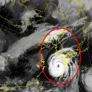 제19호 태풍 '솔릭' 영향 시작&hellip;전남 10곳 강풍주의보