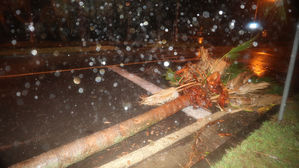 제주 도로 곳곳 통제&hellip;야자수 부러지고 파도 넘쳐