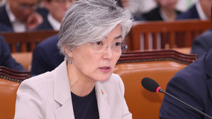 강경화 "美 전략 자산 전개비 부담 요구, 방위비 분담 취지에 안 맞아"