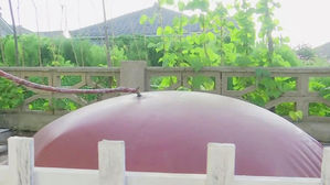 [지금북한은] 산림 일꾼들이 개발&hellip;'땔감 고민'에 대체 연료 독려