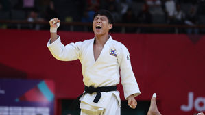 유도 간판 안바울, 병역특례 봉사활동 서류 조작 의혹