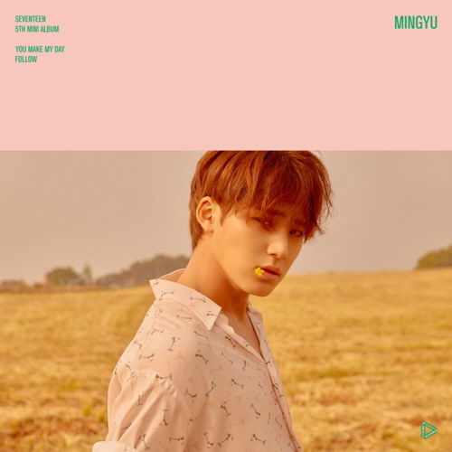 SEVENTEEN MINGYU