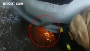 장대비 속 빨간 불꽃 비치더니&hellip;'리콜 제외' BMW 또 화재