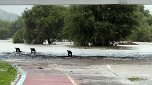엿새 폭우에 2명 사망·4명 부상…이재민 299명 발생