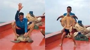 [영상pick] 올라타고 잡아당기고…바다 거북 학대하는 남자 '뭇매'